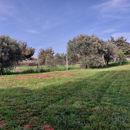Black N' White Cozy Housegarden Alexandroupoli Exterior foto