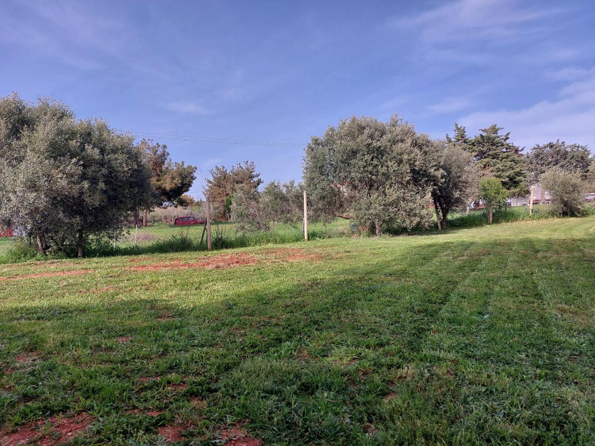 Black N' White Cozy Housegarden Alexandroupoli Exterior foto