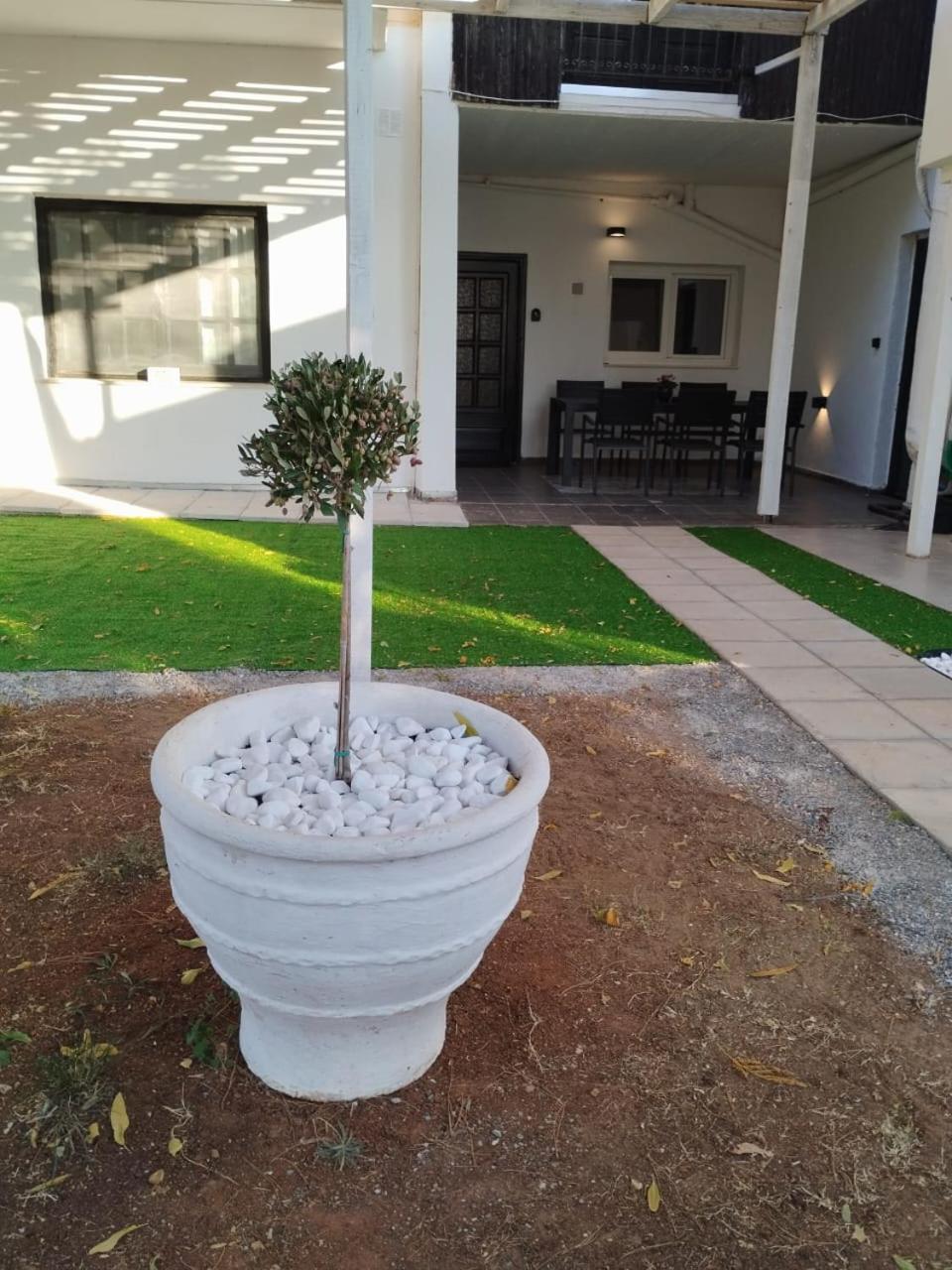 Black N' White Cozy Housegarden Alexandroupoli Exterior foto